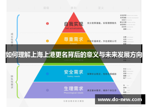 如何理解上海上港更名背后的意义与未来发展方向