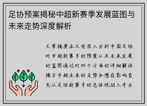 足协预案揭秘中超新赛季发展蓝图与未来走势深度解析